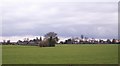 Farmland at Walcot Green