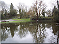 Village Pond, Crawley