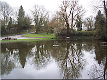 SU4334 : Village Pond, Crawley by Maigheach-gheal
