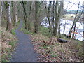 River Ayr Way at Wellflat Bank