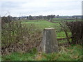 Llansantffraed trig