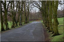 NT0987 : Dunfermline Public Park by Paul McIlroy