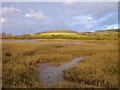 Estuary Head with fields in background