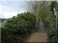 Overton - Flagstone Footpath