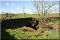 Bridge over Locher Water