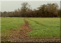 Footpath heading towards Framsden