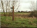 A footpath and bridleway junction at Winston Green