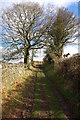 Track to Bryn Arw