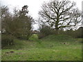 Motte and Bailey at Sheriff Hutton