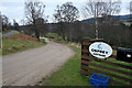 The lane to Osprey Cottage and D beat of Tulchan.