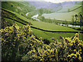 River Tweed from Thornielee