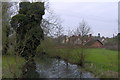 River Brett headstream at Monks Eleigh