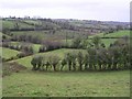 Currin Townland