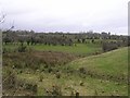 Stralongford Townland