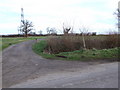 Track leading to Hill Farm