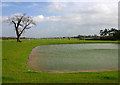 Pond at South Leigh