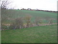 Farmland near Heaton