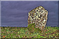 TM3894 : Stockton Stone by NickGarrod