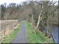 River Ayr Way at Catrine