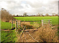 Footbridge over brook, near Wistaston