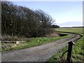 Lane skirting Flea Moss Wood, near Hightown