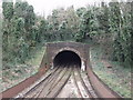 Crystal Palace Tunnel