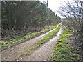 Farm road at Kimblesworth