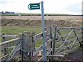 Gate at Leamside