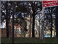 Catholic Apostolic Church through wire netting