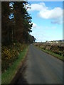 Rural Lane in spring