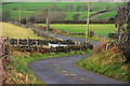 Carnstroan Lane,near Slemish