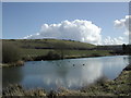 Lake at Up Cerne looking towards Giant Hill, Cerne Abbas