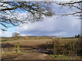 Slea Valley Landscape