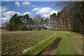 Footpath to Garboldisham Common