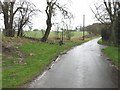 View NW along road near Singledge