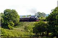 A Passing Steam train