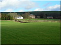 Fields Near Tinwald House