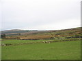 Farmland reclaimed from the bog at Cors-y-wlad Uchaf