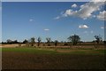 Farmland at East Harling Heath