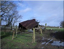 TQ6214 : Sheep Shelter near Cowbeech by Nigel Stickells