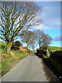 Minor Road Near Kirkton (The Nick)