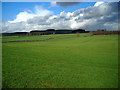 Fields Near Tinwald House