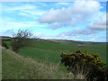 North Carrick Farmland