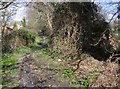 Footpath in Redlands Lane