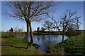 Pond near Garboldisham