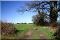 Track to Kenninghall Heath