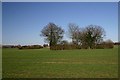 Farmland near North Lopham