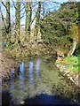 Stream south of the pond, Bishopstone, Swindon