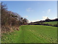 Path from Pymore towards Bradpole