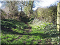 Bridleway to Dean Hill